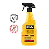 Очищувач для ванних кімнат ERLA Saniz Shine 750 мл, фото 3