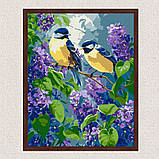 Картина за номерами Картина за номерами - Весняний дует 30*40 см Ідейка KHO 6654, фото 3