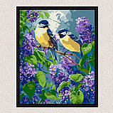 Картина за номерами Картина за номерами - Весняний дует 30*40 см Ідейка KHO 6654, фото 4