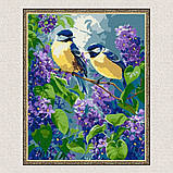 Картина за номерами Картина за номерами - Весняний дует 30*40 см Ідейка KHO 6654, фото 5