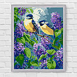 Картина за номерами Картина за номерами - Весняний дует 30*40 см Ідейка KHO 6654, фото 6