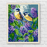 Картина за номерами Картина за номерами - Весняний дует 30*40 см Ідейка KHO 6654, фото 7