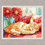 Картина за номерами Картина за номерами - Денний сон exp 30*40 см Ідейка KHO 6709, фото 2