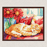 Картина за номерами Картина за номерами - Денний сон exp 30*40 см Ідейка KHO 6709, фото 3