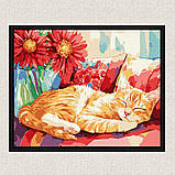 Картина за номерами Картина за номерами - Денний сон exp 30*40 см Ідейка KHO 6709, фото 4