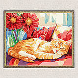 Картина за номерами Картина за номерами - Денний сон exp 30*40 см Ідейка KHO 6709, фото 5