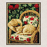 Картина за номерами Картина за номерами - Кіт у саду exp 30*40 см Ідейка KHO 6712, фото 5