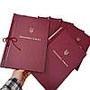 Папка для Дипломної роботи для твер. палітурки, тиснення під золото, бордова 215×305 мм (20мм) (1 шт), фото 3