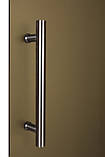 Двері для лазні та сауни Tesli Steel 1900х700, фото 4