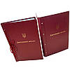 Папка для Дипломного проекту для твер. палітурки, тиснення під золото, бордова 215×305 мм (20мм) (уп.5шт), фото 3