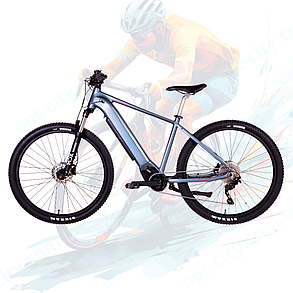 Електровелосипед EcoBike Challenger 29" 500Вт 48B 12.5А*г дисплей вбудована батарея темно-сірий без крил без багажника, фото 1