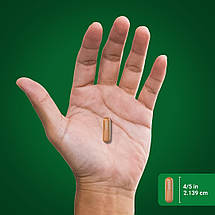 Куркума з куркуміном Piping Rock Standardized Turmeric Curcumin 750 мг 120 капс., фото 4