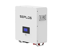 Акумулятор Seplos NILE-24100 25.6V 100 Ah 2.56kWh, фото 4