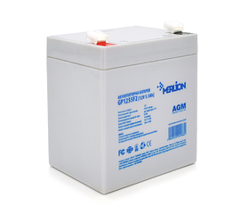 Акумуляторна батарея дитячого електромобіля Merlion 12 V 5.5 Ah GP1250F1 AGM