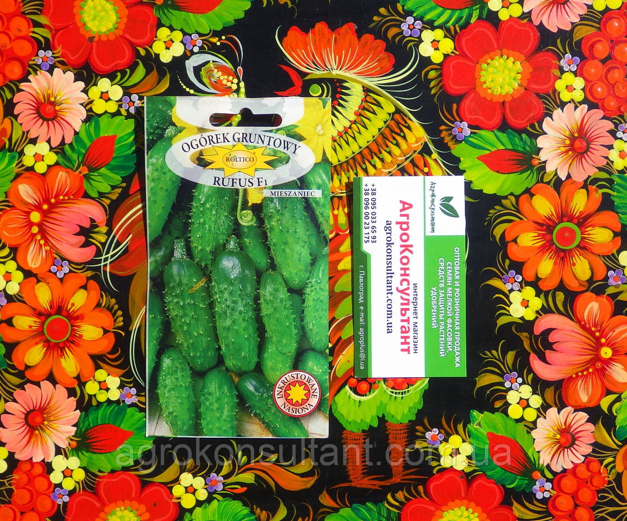 Насіння огірка Руфус F1 (Roltico), 5 грам — ранній (45-55 днів), бджолозапильний корнішон