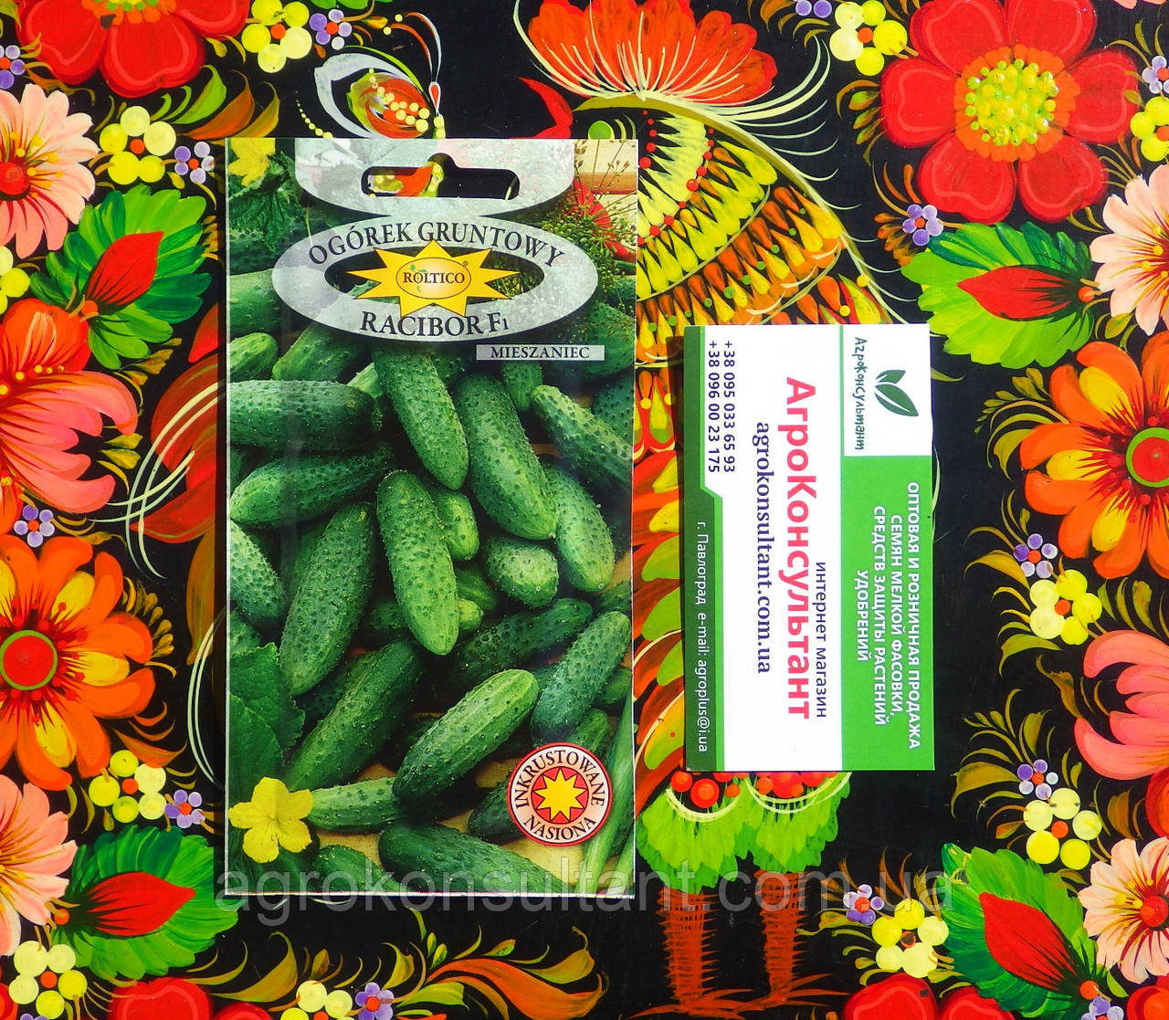 Насіння огірка Рацибор F1 (Roltico), 5 грам — ранній (45-50 днів), бджолозапильний корнішон