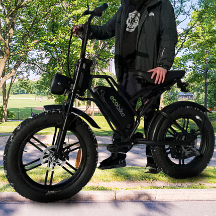 Електровелосипед ECOBIKE V9 eMotion 60V 21Ah з педальним сенсором PAS, фото 1