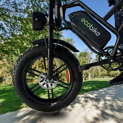 Електровелосипед ECOBIKE V9 eMotion 60V 21Ah з педальним сенсором PAS, фото 3