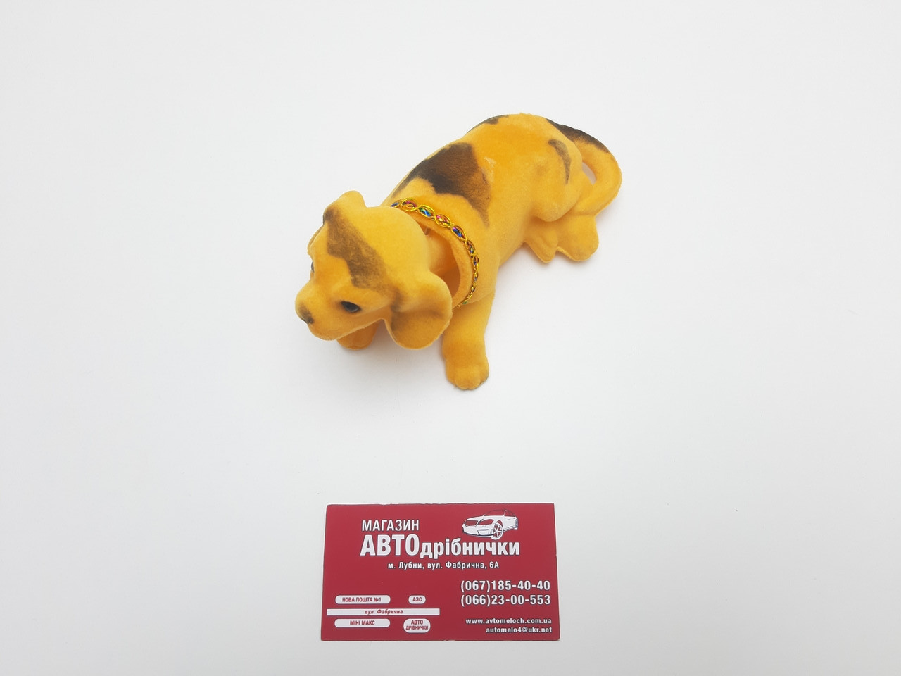 Пес на панель рудий