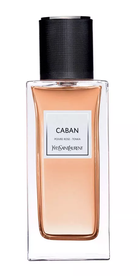 Парфумована вода Yves Saint Laurent Caban 125 мл, фото 1