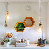 Настінні соти-полички зі стабілізованим мохом, діаметр 24 см. Декоративні соти з мохом на стіну, фото 3