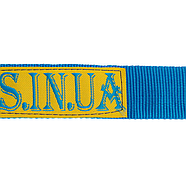 Стрічка для розмітки пляжного волейболу SP-Planeta Стандарт (SO-5278), фото 3