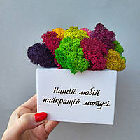 Кашпо з мохом - яскравий подарунок мамі на день матері, подарунок мамі на день народження