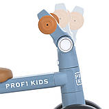 Біговел дитячий складаний PROFI KIDS MBB 1020-2, фото 7