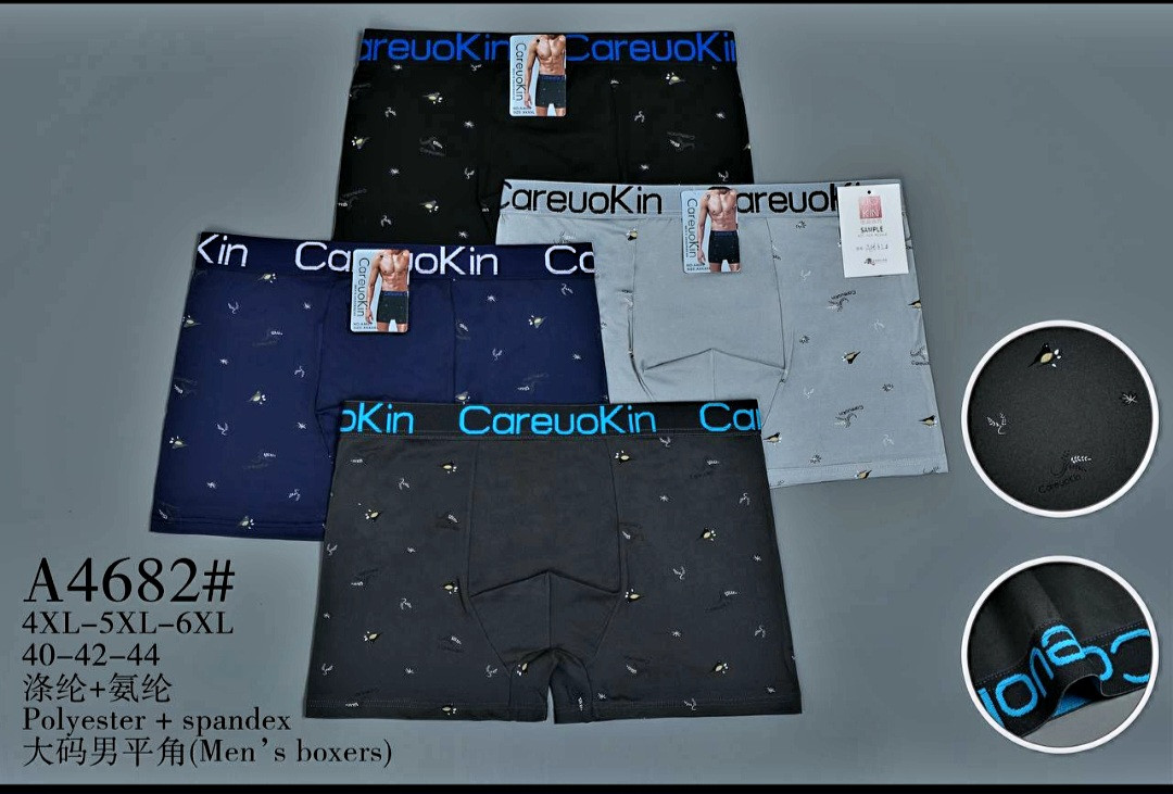 Труси чоловічі "CareuoKin" (4-5-6XL), фото 1