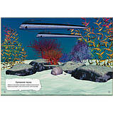 Книга Crystal Book з наклейками. Динозаври F00022436, фото 3