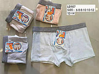 Труси для хлопчиків (боксери). Розмір: 6-8, 8-10, 10-12, 12-14 років. Модель OU-NLD107