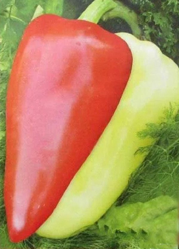 Насіння перець Білозірка 0,3г