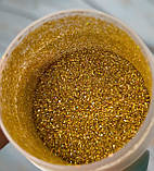 Блискітки глітер Золотий Голографічний - 10 грам, фото 3