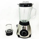 Блендер Domotec 2в1 з кавомолкою, 1000 Вт 9066, фото 2