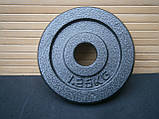 Диск для гантелей та штанг металевий 1,25 кг / 28 мм / 1 шт, фото 4