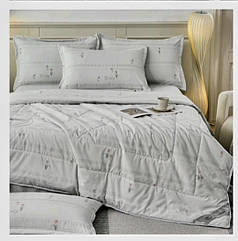 Постільна білизна з літньою ковдрою мод 118/6