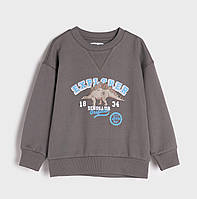 Дитячий джемпер світшот з начосом Sinsay на хлопчика р.128, 7-8 років