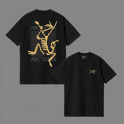 Літня чоловіча футболка Arcteryx Arc'multi Bird Black чорна 100% бавовна принт на грудях і спині, фото 1