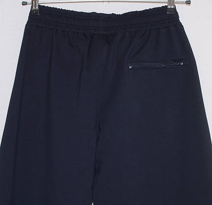Спортивні штани чоловічі сині Fore 1053 l,xl,xxl,3xl, фото 3
