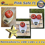Томат рожевий Пінк Сейф f1 / Pink Safe f1, ТМ Spark Seeds (США), фото 7