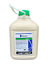 Інсектицид Енжіо Syngenta - 5 л, фото 3