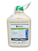 Інсектицид Енжіо Syngenta - 5 л, фото 4
