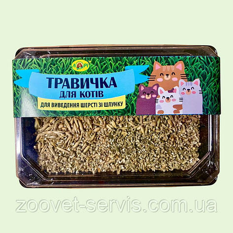 Травка для котів ЛОРІ (пластиковий контейнер + штучний ґрунт) 60 г, фото 1