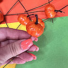 Гарбуз маленький на дроті 3 см, фото 2