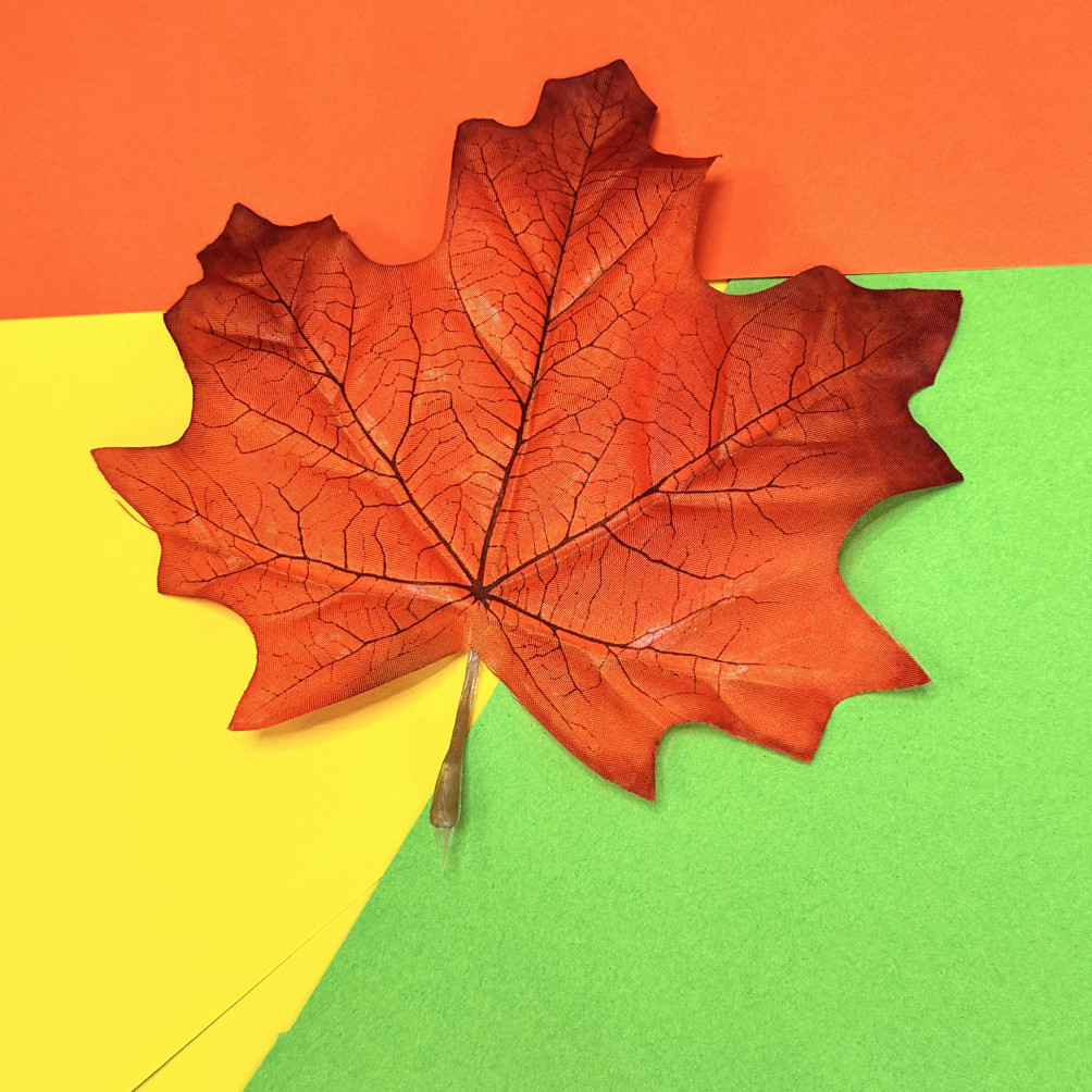 Лист клена з ніжкою 15х12 см, фото 1