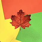 Лист клена з ніжкою 15х12 см, фото 2