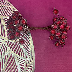 Ягоди калини бордові в цукру 40 шт.