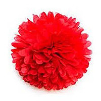 Паперовий помпон для свята, 25 см. червоний, фото 1