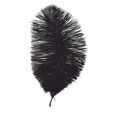 Перо страусове 20-25 см чорний, фото 1