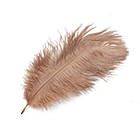 Перо страуса 30-35 см Пудровий, фото 2